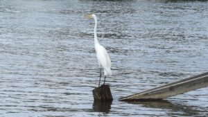 産後の抜け毛はいつまで続くのか知りたい？