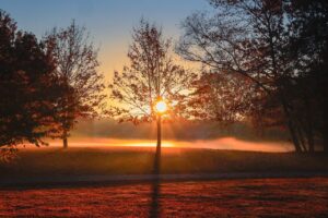 甲状腺機能低下症による薄毛を改善する方法は？