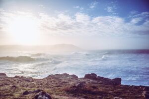 発毛クリニックで実績が多いところはどこですか？