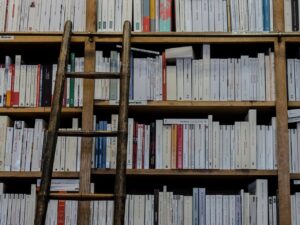育毛サプリでボリュームを増やすための効果的な方法は？