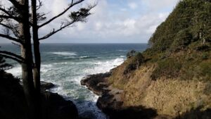 育毛サプリの解約方法と注意点は？