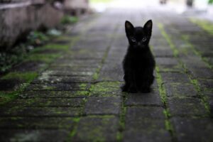 髪にコシとハリを与えるための効果的なケア方法は？