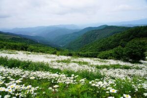 効果がなかった理由とは？